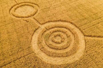 remember back when people thought crop circles were from aliens.jpeg