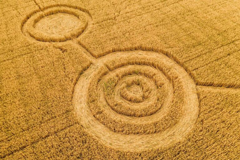 remember back when people thought crop circles were from aliens.jpeg