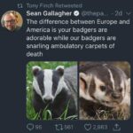snarling ambulatory carpets of death.jpeg