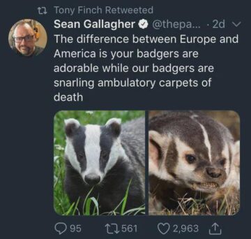 snarling ambulatory carpets of death.jpeg