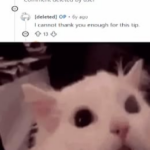 its the worst thing ever.png