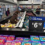 stray dog goes into walmart and chills in the frozen food section.jpeg