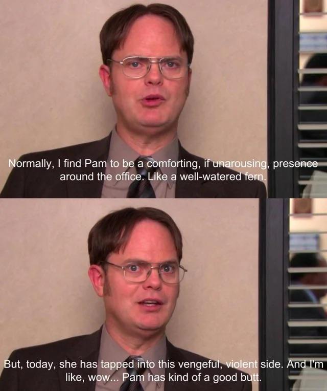 easily a top 5 dwight quote for me.jpeg