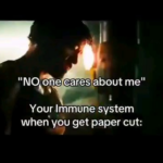 1 8 trillion white blood cells care about you.png