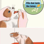 sour puss.png
