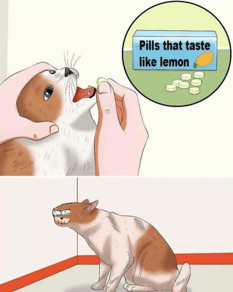 sour puss.png
