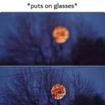 me irl.jpeg