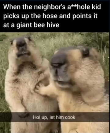 cooked pretty hard.jpeg