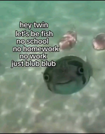 blub blubb.png