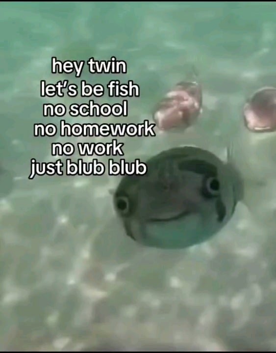 blub blubb.png