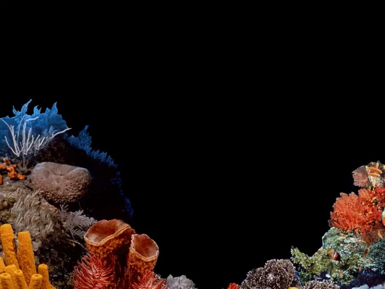 windows 98 underwater screensaver 1998.png