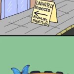 meirl.jpeg