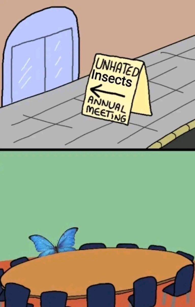 meirl.jpeg
