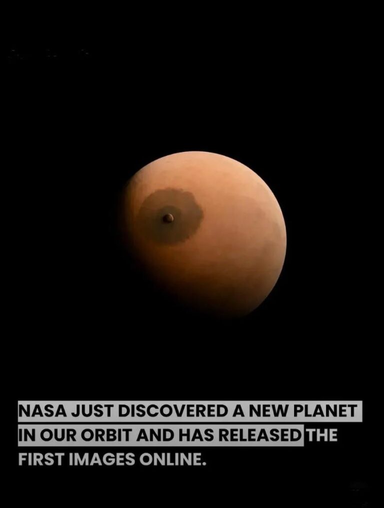 those are boobs.jpeg
