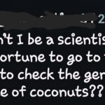 traveling coconut scientists.jpeg