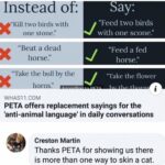 petas campaign goes to the dogs.jpeg