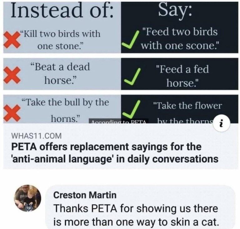 petas campaign goes to the dogs.jpeg