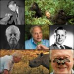 sir david attenborough is officially a centenarian today.jpeg