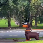 can i get one extra large wiener and one very small one to go.png