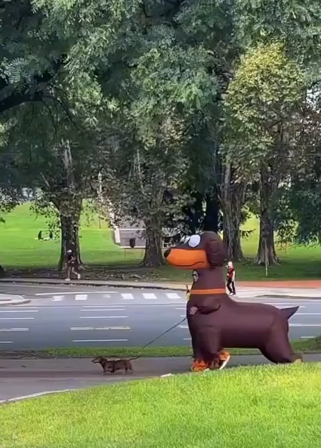 can i get one extra large wiener and one very small one to go.png