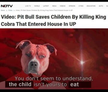 casual child eater versus professional child eater.jpeg