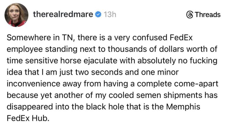 thousands of dollars worth of time sensitive horse ejaculate.jpeg