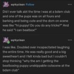 getting the beatboxing puppy unskippable cutscene at the bdsm club.jpeg