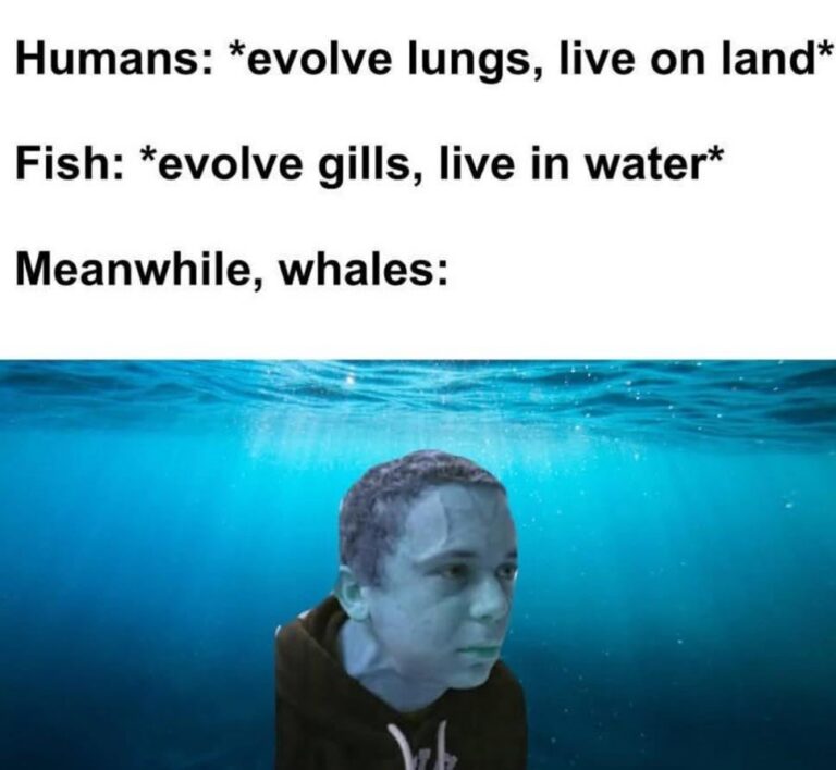 me irl.jpeg