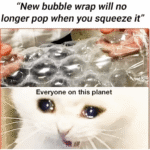 humanity has lost.png