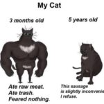 me irl.jpeg