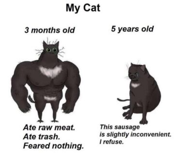 me irl.jpeg