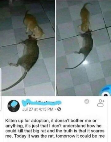 understandable.jpeg