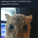 me irl.png