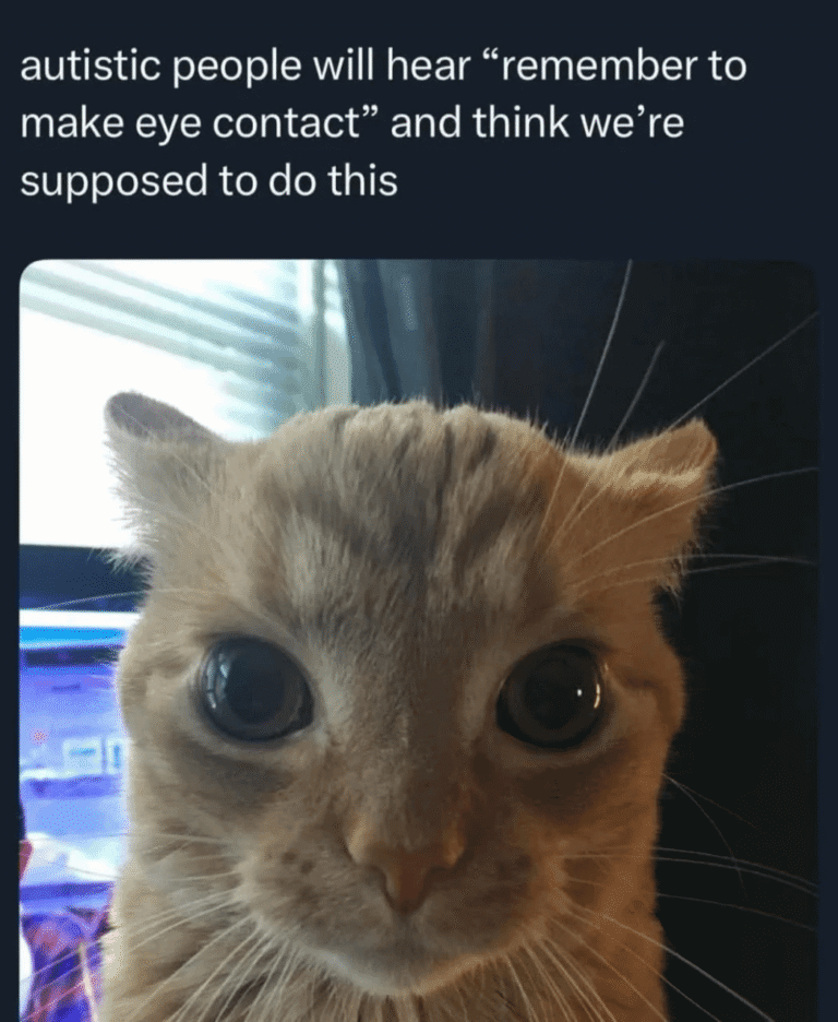 me irl.png