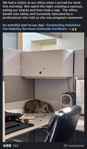 pawnee office pet.jpeg