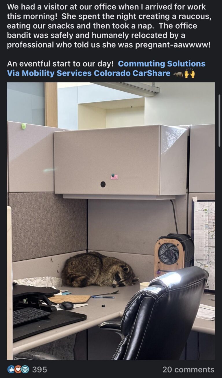 pawnee office pet.jpeg