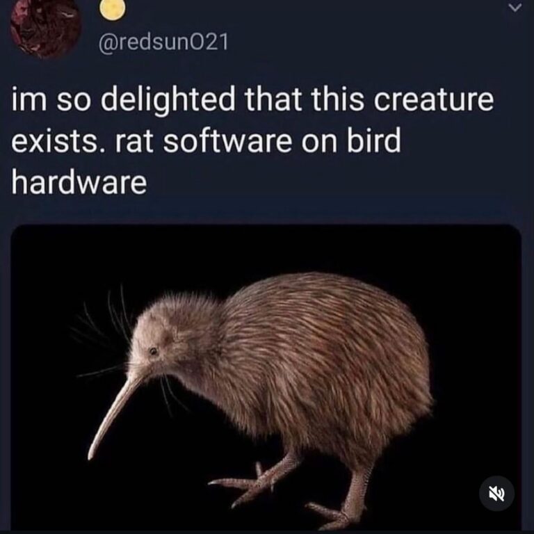 rat software on bird hardware.jpeg