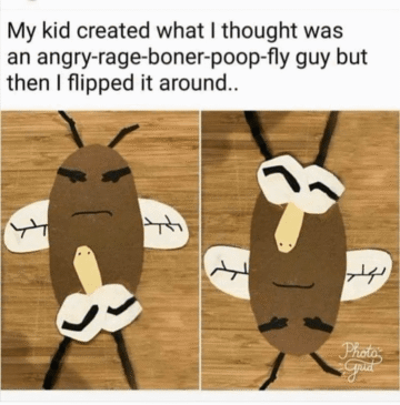 what a silly little fella.png