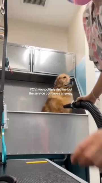 no no i dont need this service do you not hear me wheres the manager.png