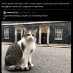 19 cat years is 92 years old in human years meaning larry is almost old enough to run for us congress or president.png