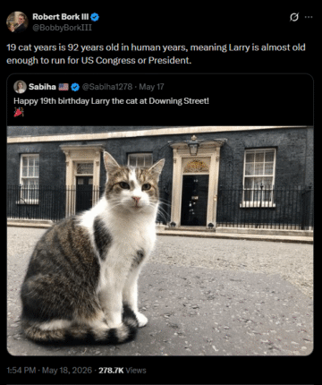 19 cat years is 92 years old in human years meaning larry is almost old enough to run for us congress or president.png