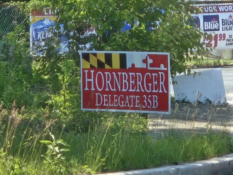 campaign sign in maryland.jpeg