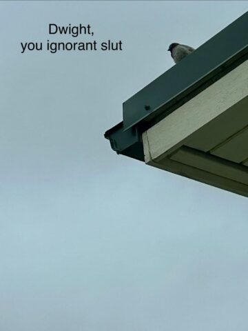 safety training outside my window.jpeg