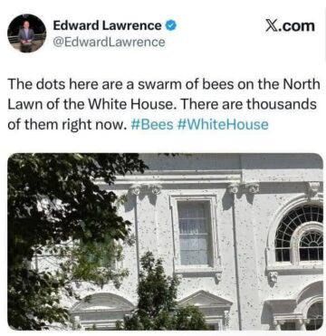 they dont allow you to have bees in here.jpeg