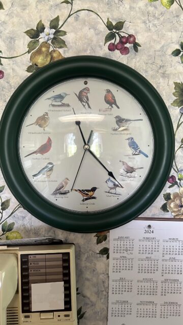 bird clock.jpeg