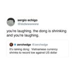 the dong is shrinking.jpeg