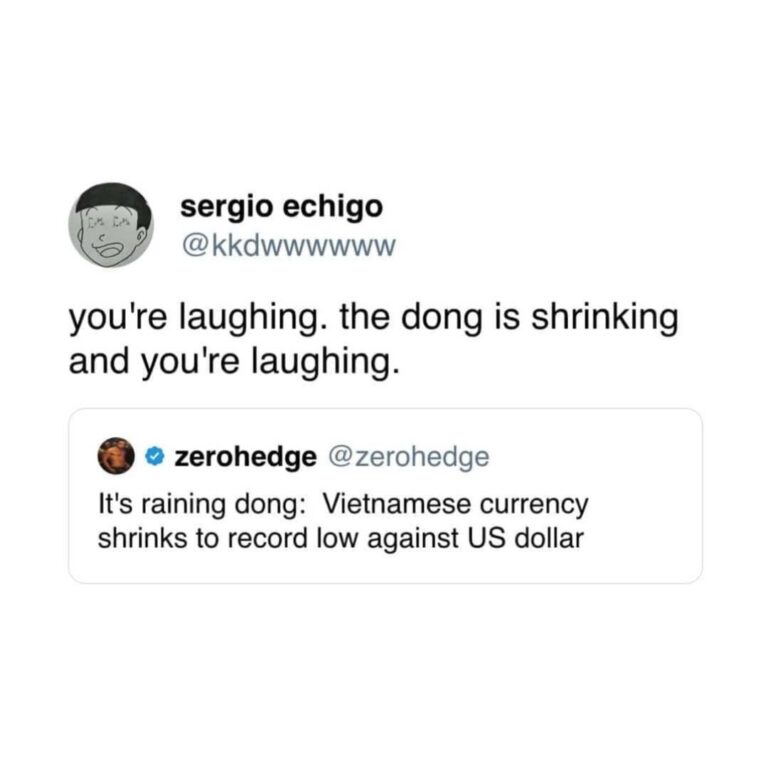 the dong is shrinking.jpeg