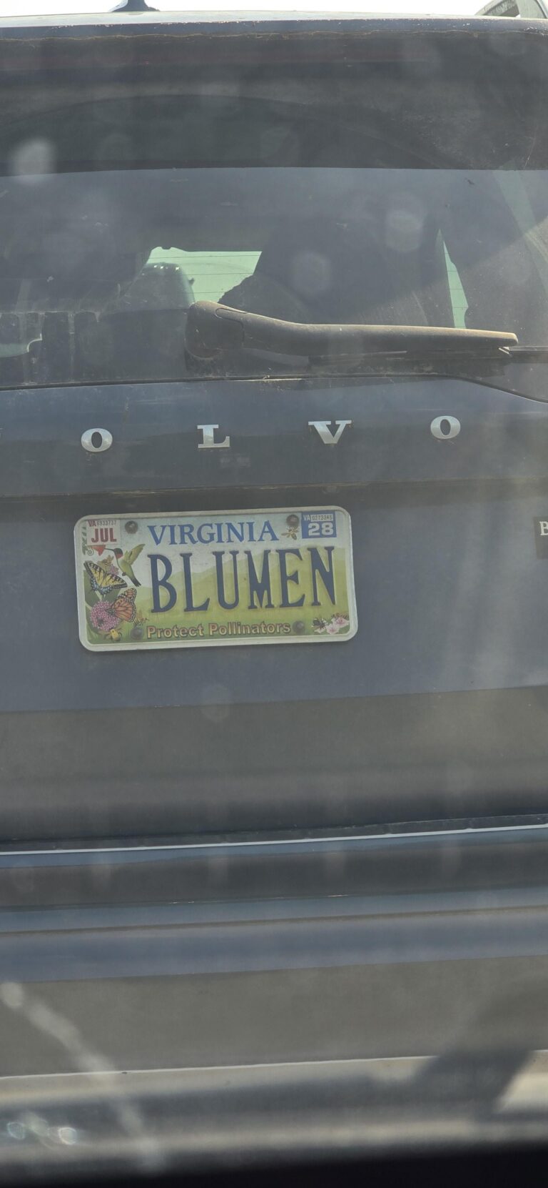 i think im behind tobias in traffic.jpeg