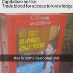 me irl.jpeg