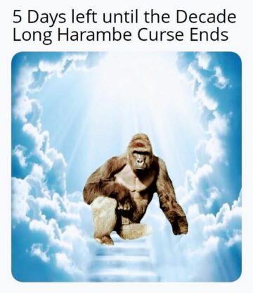 me irl.jpeg